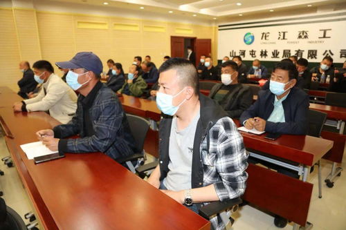 龍江森工眾創集團 以科技服務賦能林區，信息技術咨詢服務助力綠色轉型